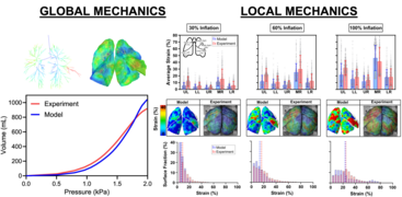 plosone